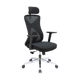 High Back Ergonomic Chair- DQ-1913ADC