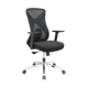 Mid Back Ergonomic Chair-DQ1913BDC