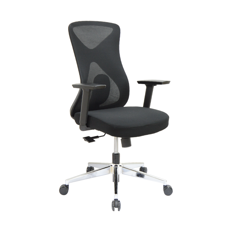 Mid Back Ergonomic Chair-DQ1913BDC